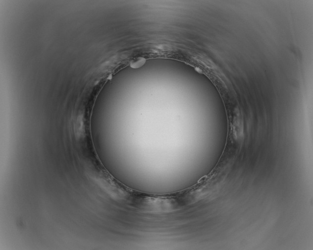 X0000112400520200908141342