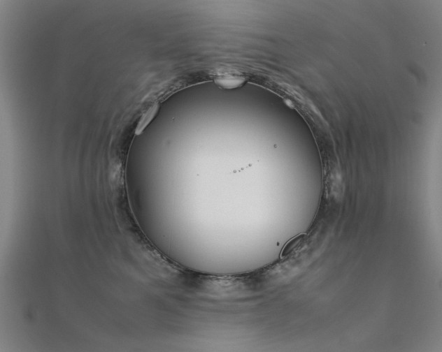 X0000112400521200908141342