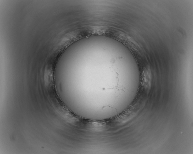 X0000112400522200908141342