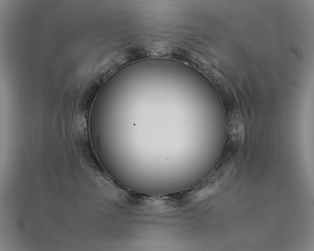 X0000112400523200908141342