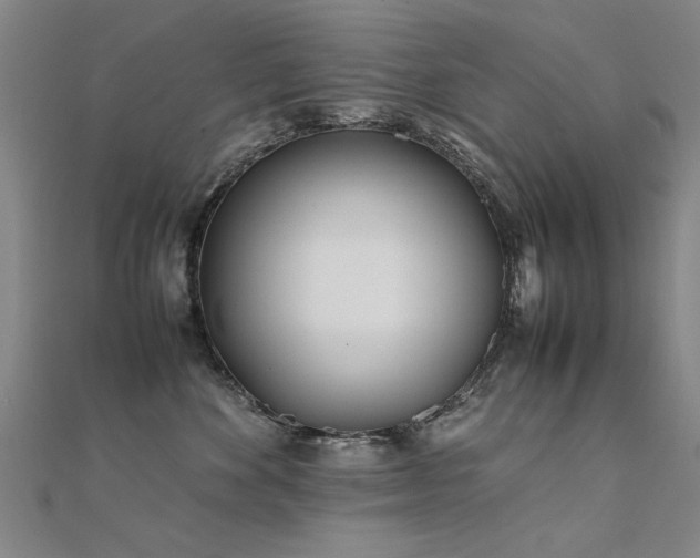 X0000112400524200908141342