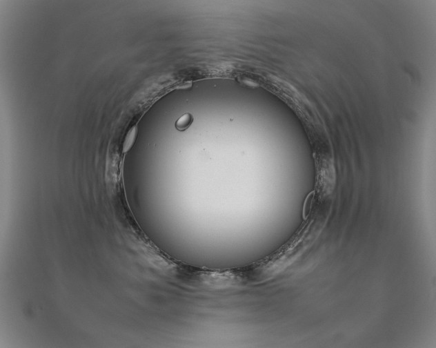 X0000112400525200908141342