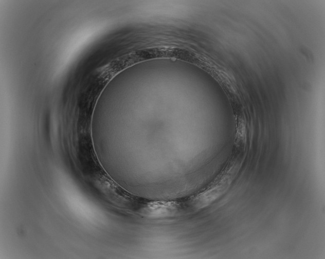 X0000112400526200908141342