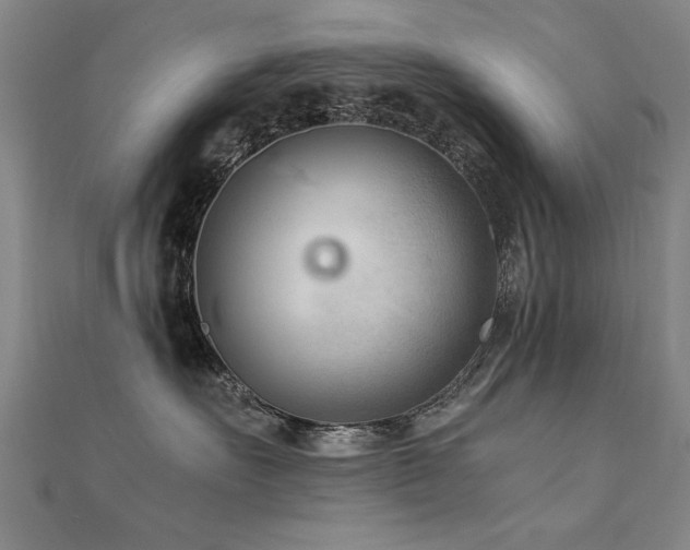 X0000112400527200908141342
