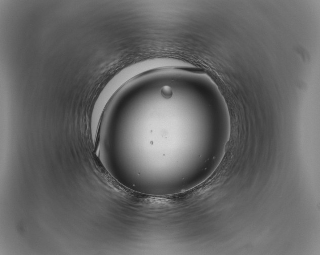 X0000112400528200908141342