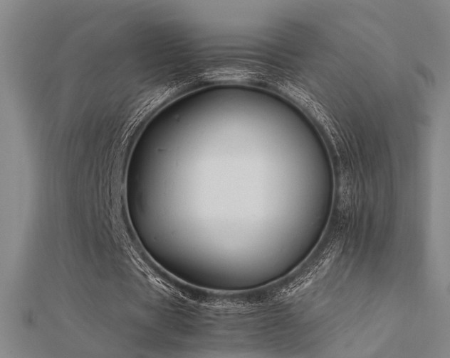 X0000112400529200908141341