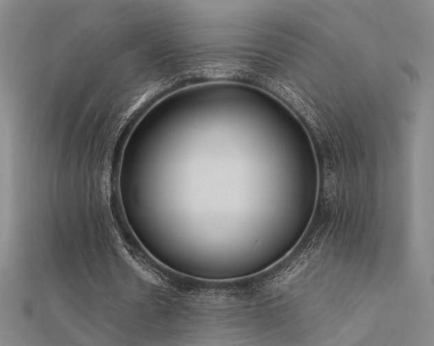 X0000112400530200908141341