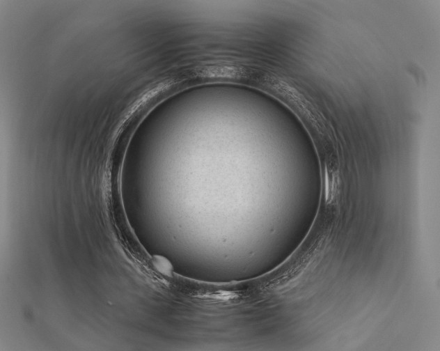 X0000112400531200908141341