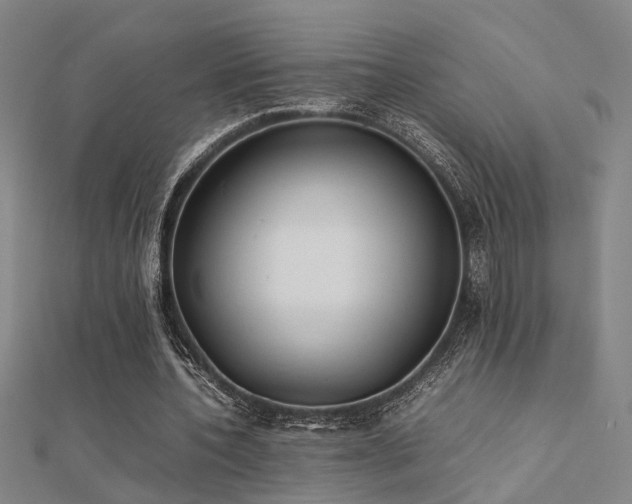 X0000112400532200908141341