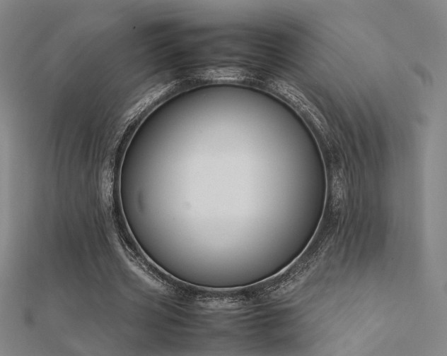 X0000112400533200908141341