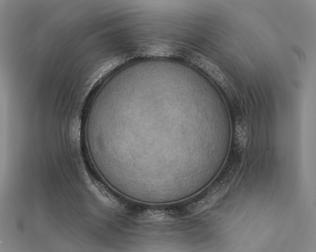 X0000112400534200908141341
