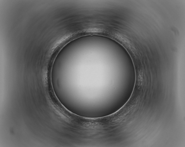 X0000112400535200908141341