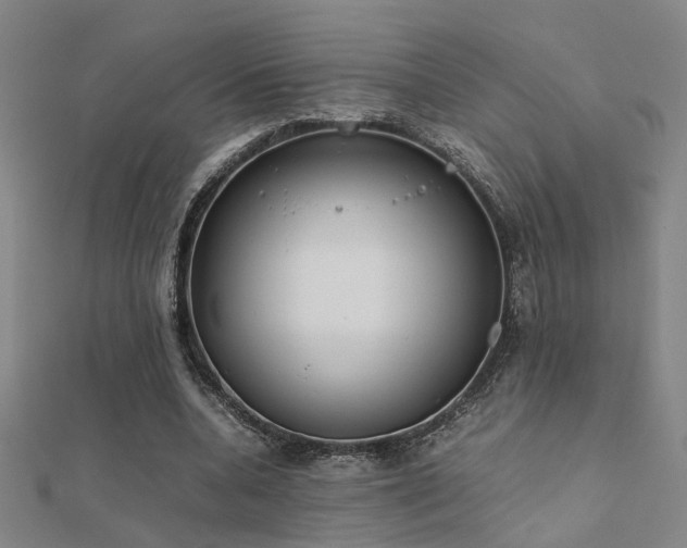 X0000112400536200908141341