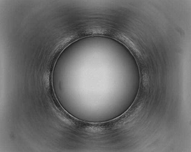 X0000112400537200908141341