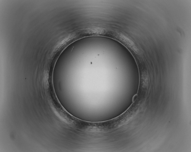 X0000112400538200908141341