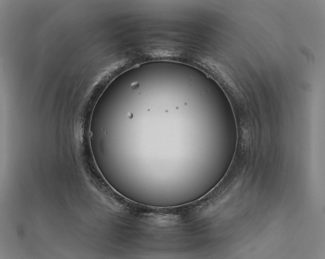 X0000112400539200908141341