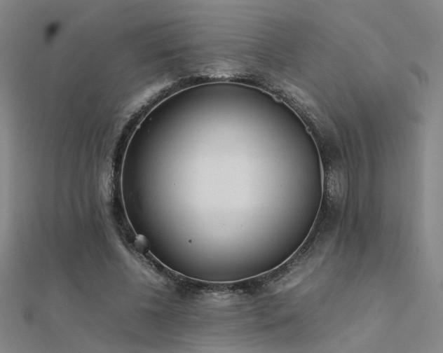 X0000112400540200908141341