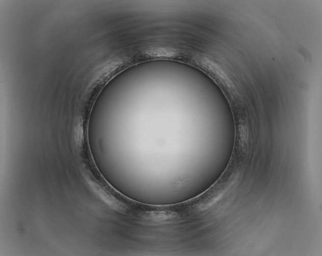 X0000112400541200908141341