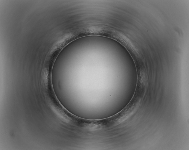 X0000112400542200908141341