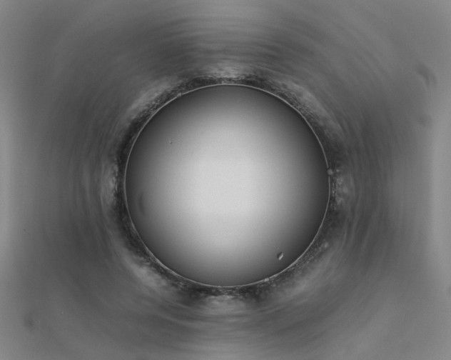 X0000112400544200908141341