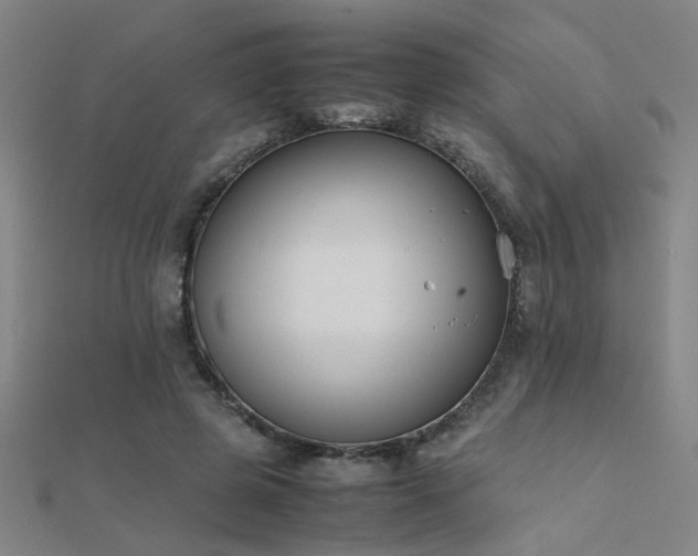 X0000112400545200908141341