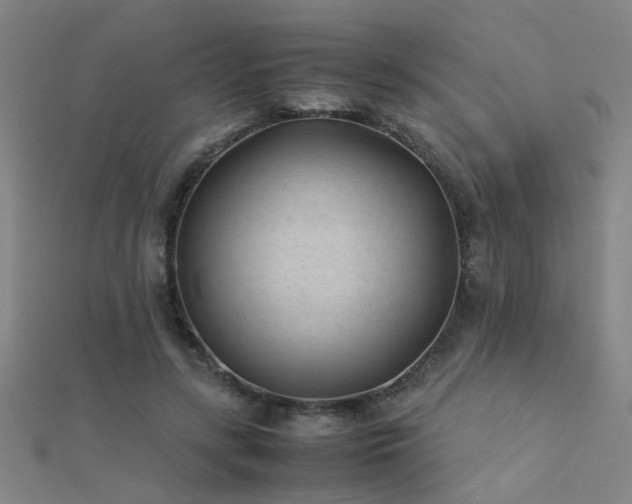 X0000112400547200908141341