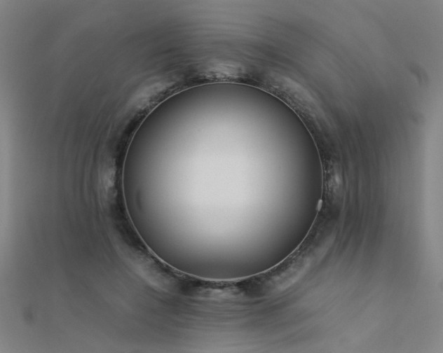 X0000112400548200908141341