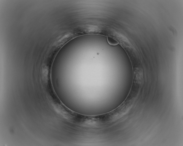 X0000112400550200908141341