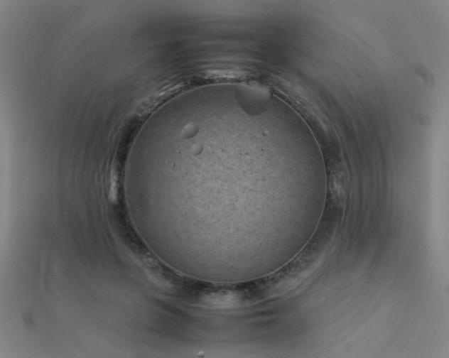 X0000112400551200908141341