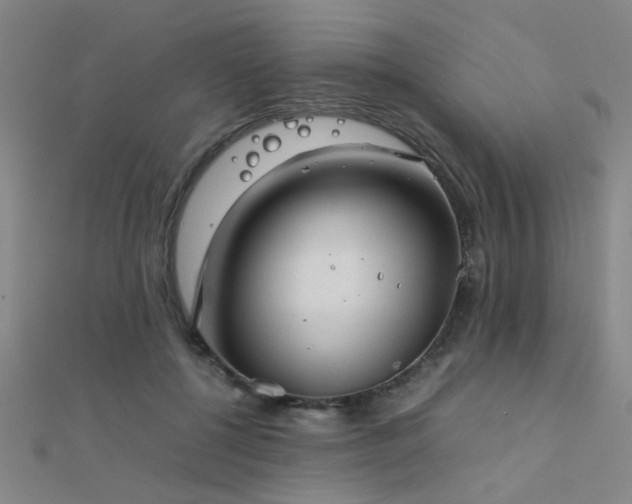 X0000112400552200908141341
