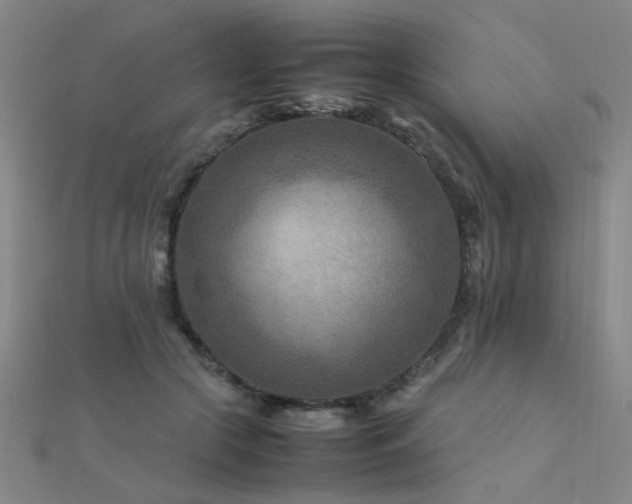 X0000112400553200908141341