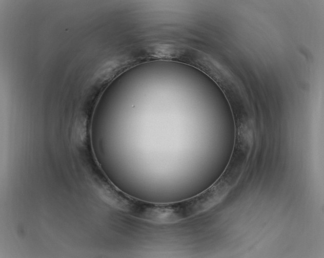 X0000112400554200908141341