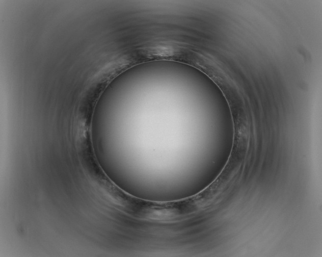 X0000112400555200908141341