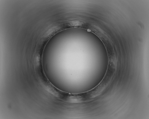 X0000112400556200908141341