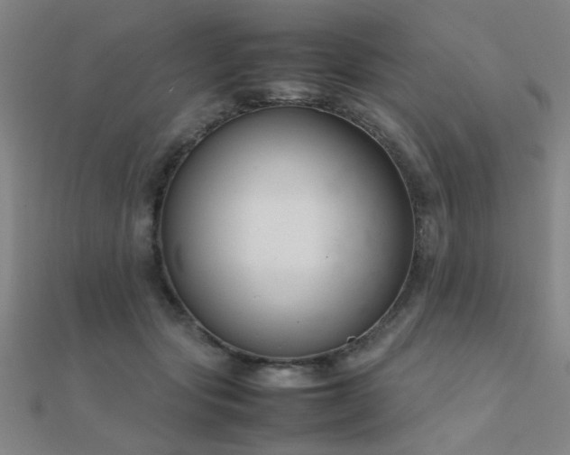 X0000112400557200908141341