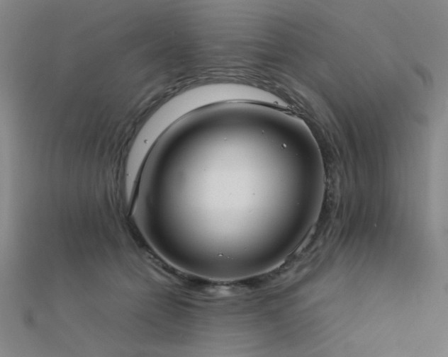 X0000112400558200908141341
