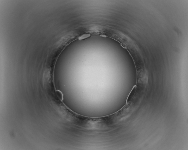 X0000112400560200908141341