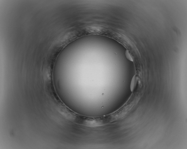 X0000112400561200908141341