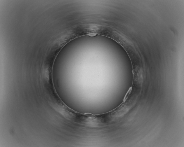 X0000112400562200908141341