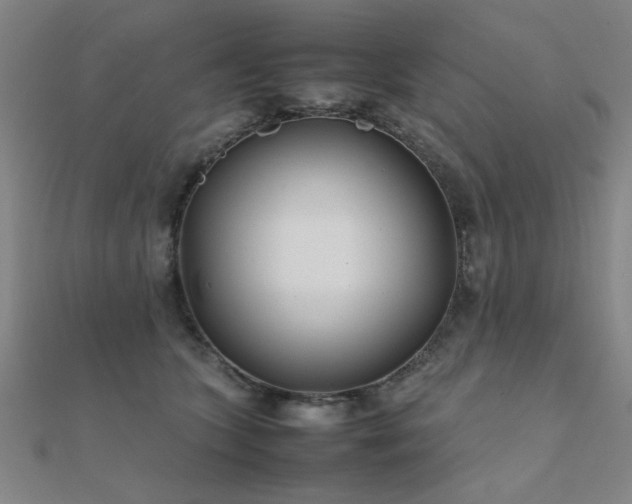 X0000112400563200908141341