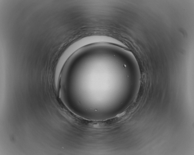 X0000112400564200908141341