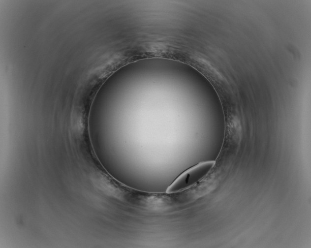 X0000112400566200908141341