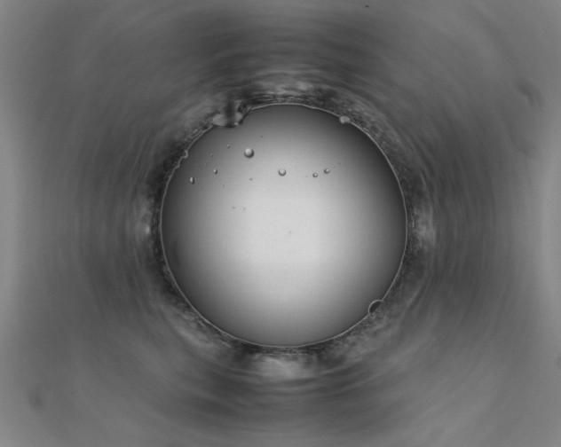 X0000112400567200908141341