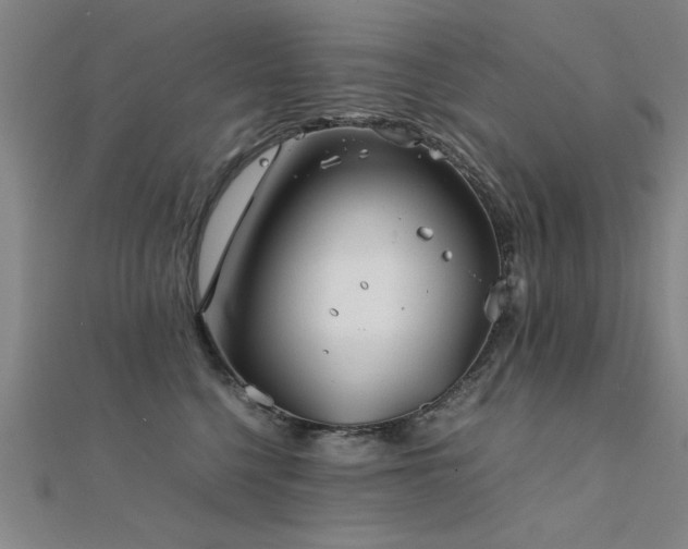 X0000112400568200908141341