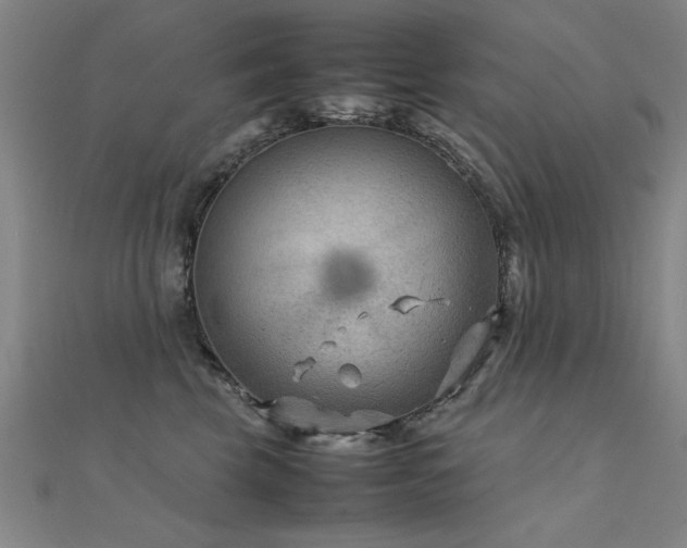 X0000112400569200908141341