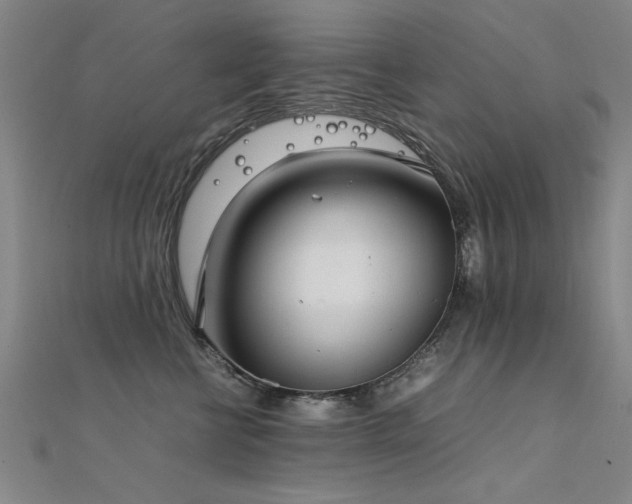 X0000112400570200908141341