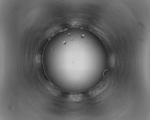 X0000112400571200908141341