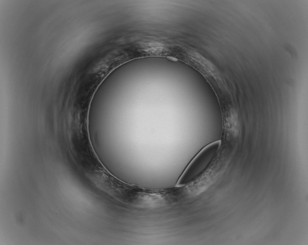X0000112400572200908141341