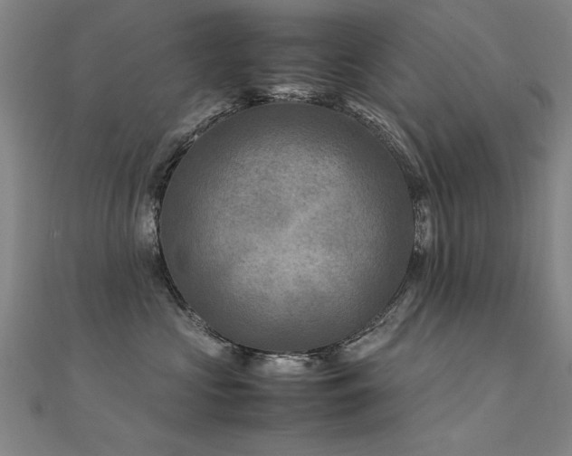 X0000112400573200908141341