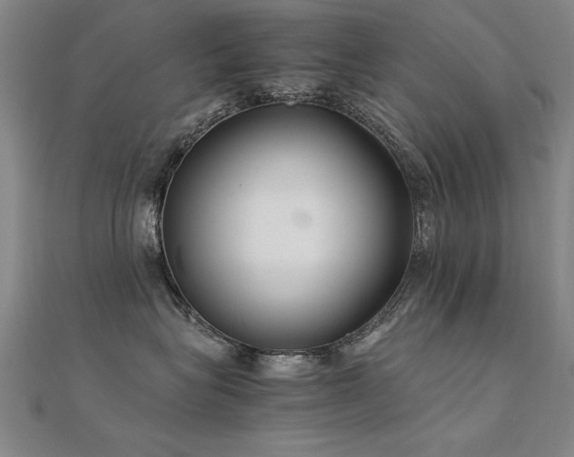 X0000112400575200908141342